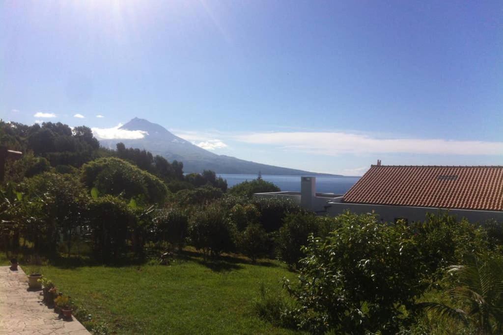 Summer House With Bbq And Garden Орта Экстерьер фото